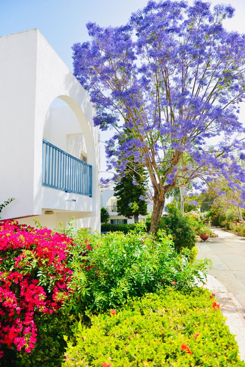 Апартаменты в Пафосе, Кипр - фото 5