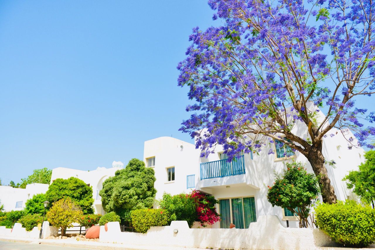 Апартаменты в Пафосе, Кипр - фото 6