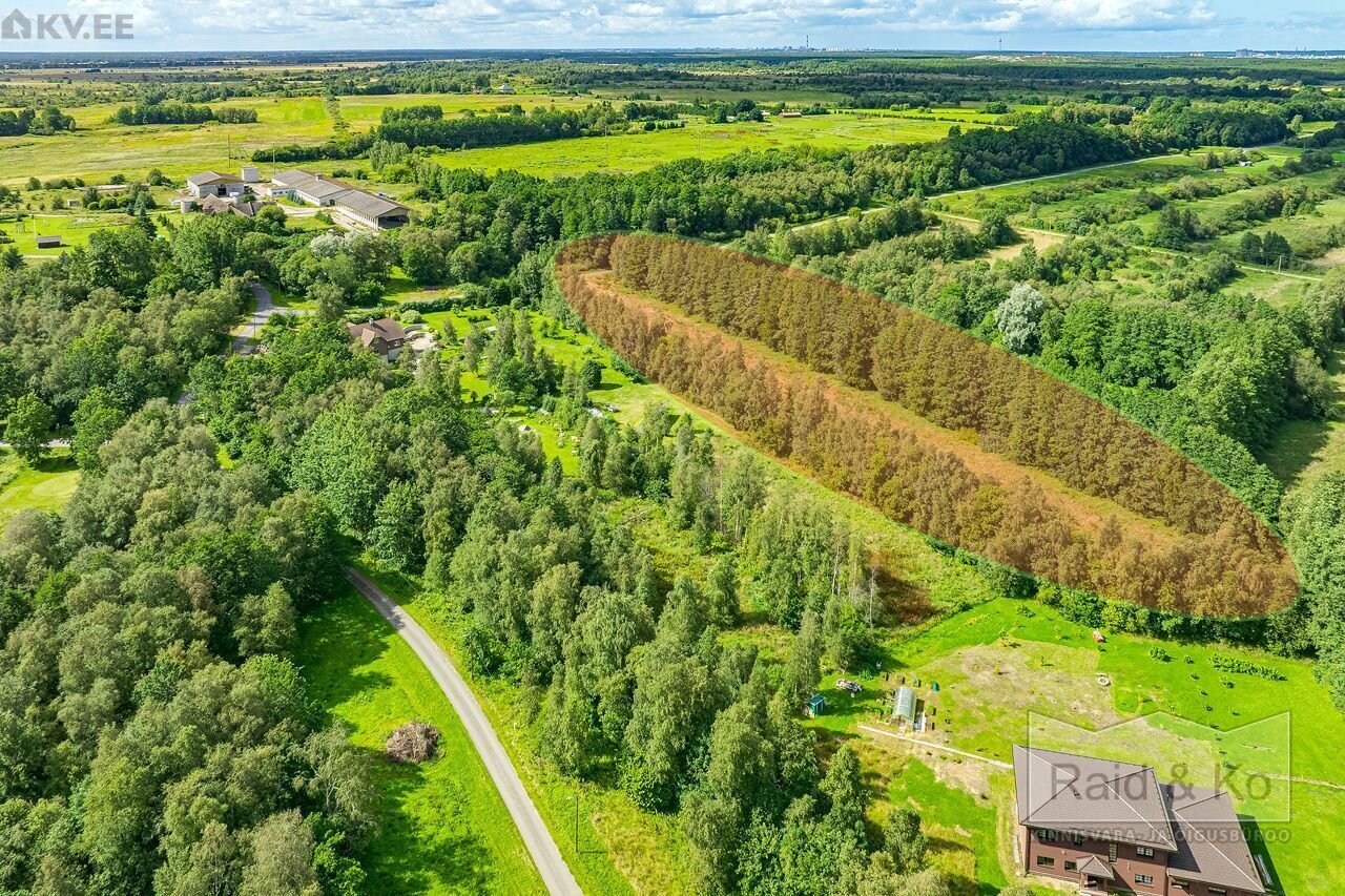 Земля в Харьюмаа, Эстония, 11 179 м² - фото 2