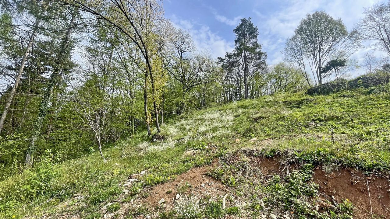 Земля в Шкофльице, Словения, 1 550 м² - фото 3