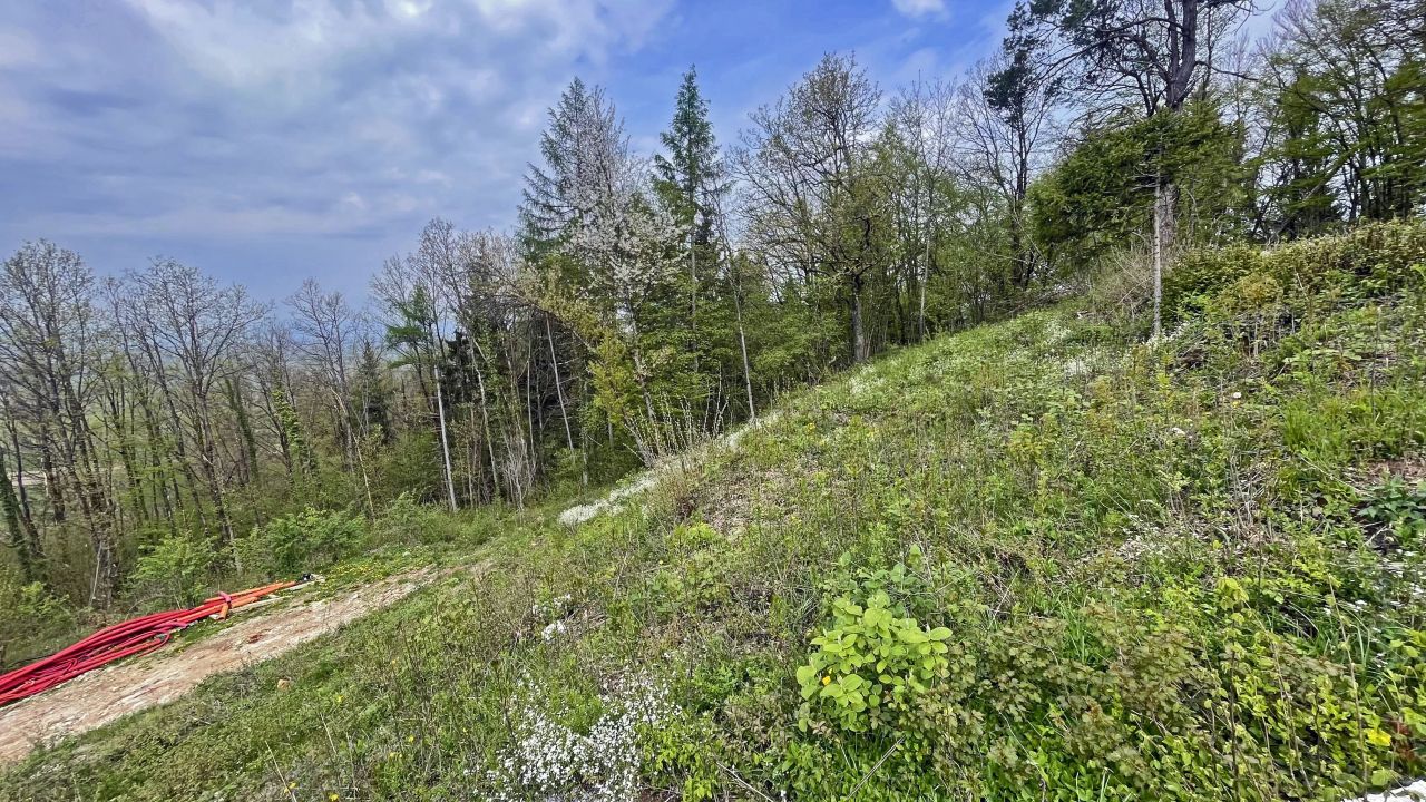 Земля в Шкофльице, Словения, 1 550 м² - фото 5