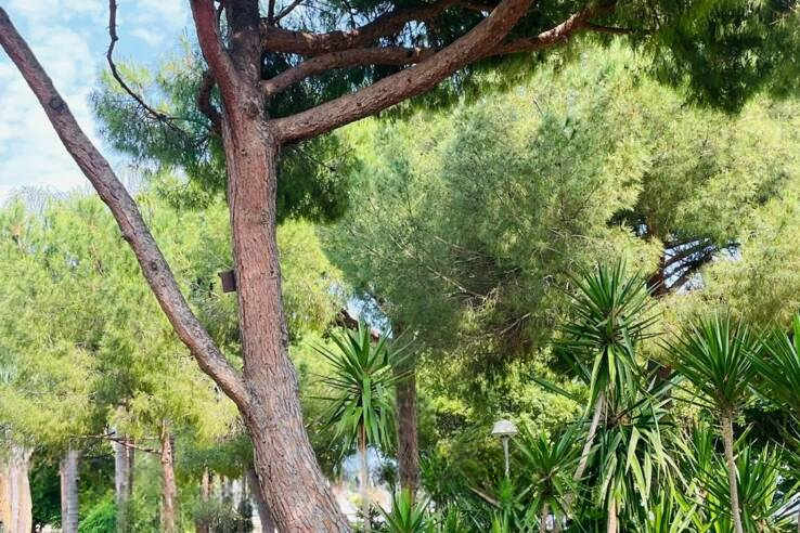 Квартира в Каннах, Франция, 54 м² - фото 3