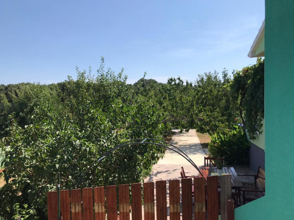 Вилла в Пуле, Хорватия, 150 м² - фото 3