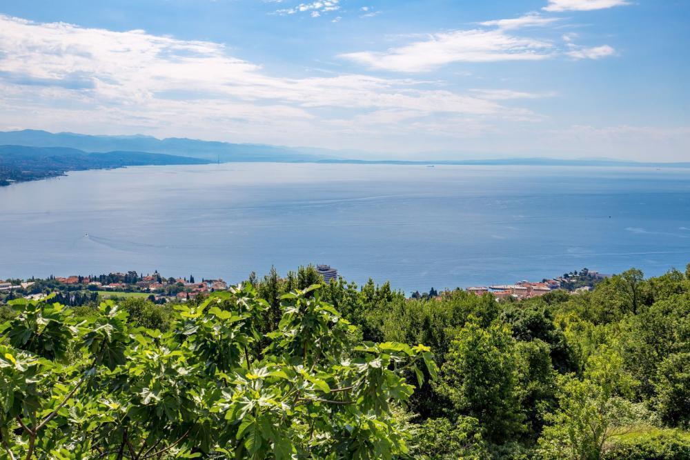 Вилла в Матульи, Хорватия, 430 м² - фото 4