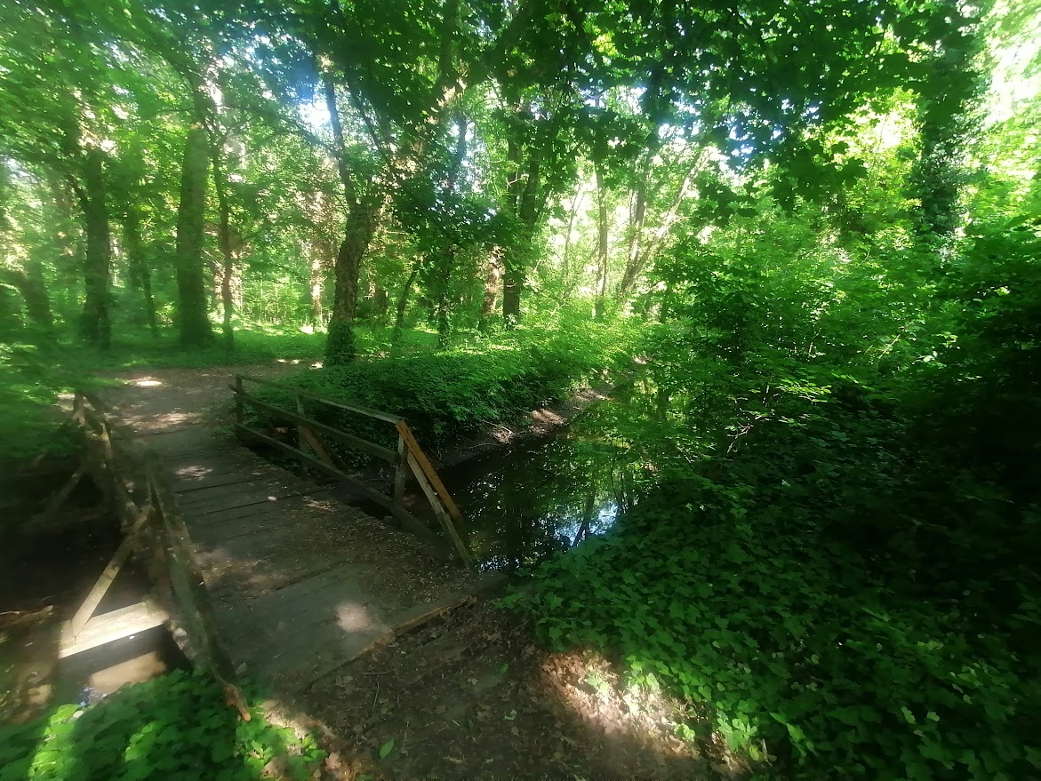 Квартира в Суботице, Сербия, 52 м² - фото 15