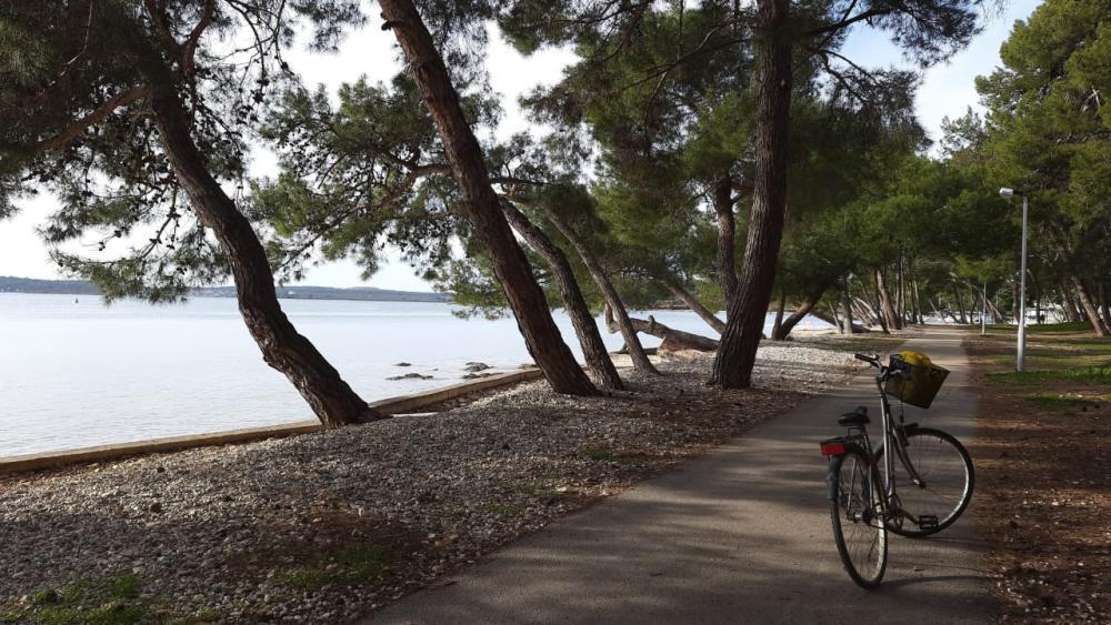 Отель, гостиница в Пуле, Хорватия, 1 000 м² - фото 4