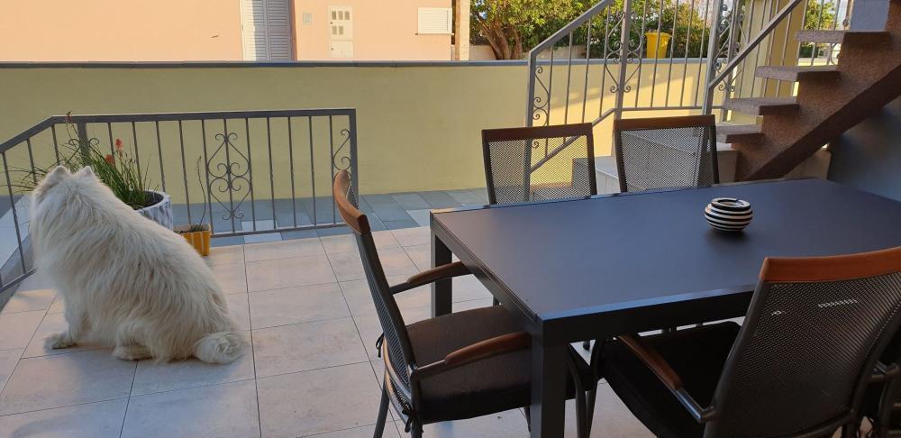 Отель, гостиница Nin, Хорватия, 200 м² - фото 10