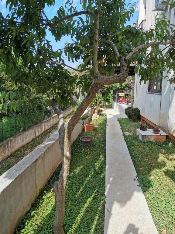 Отель, гостиница в Ровини, Хорватия, 864 м² - фото 12