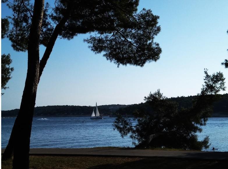 Вилла в Медулине, Хорватия, 690 м² - фото 15