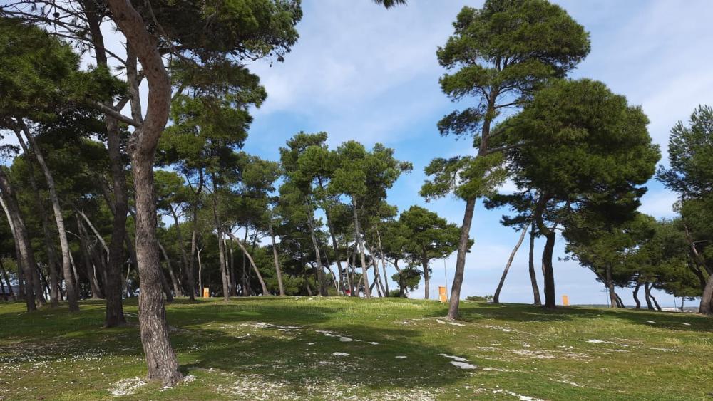 Отель, гостиница в Пуле, Хорватия, 1 000 м² - фото 8