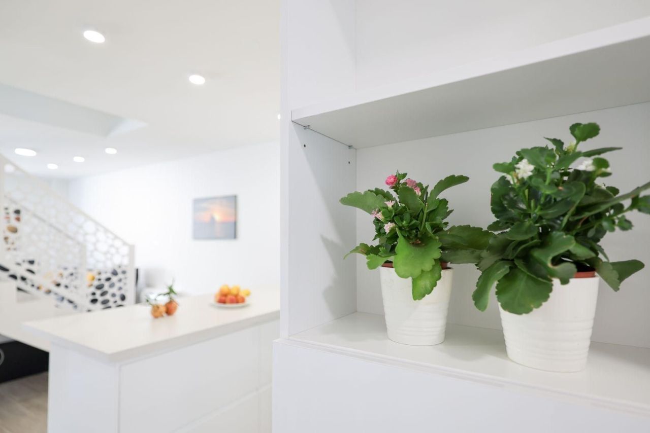 Вилла в Привлаке, Хорватия, 162 м² - фото 18