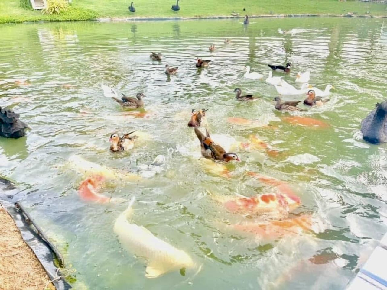 Дом в Паттайе, Таиланд, 134 м² - фото 8