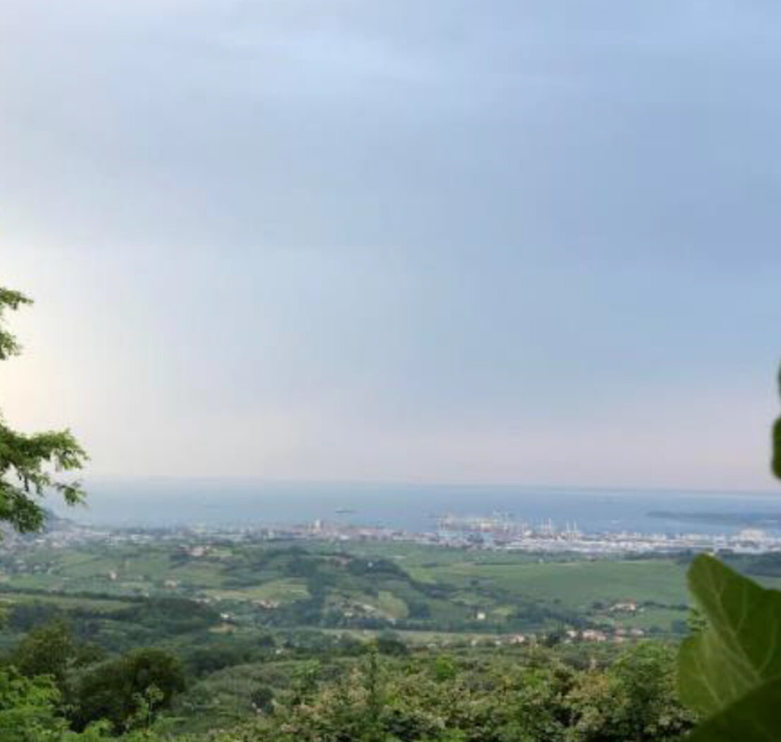 Отель, гостиница в Копере, Словения, 1 146 м² - фото 7