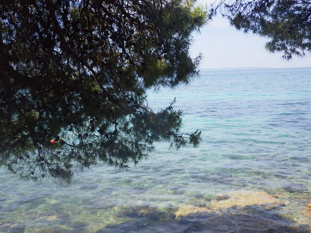 Отель, гостиница Strozanac, Хорватия, 2 111 м² - фото 1