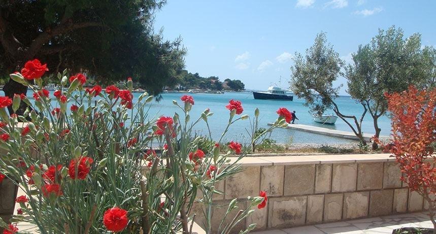 Отель, гостиница Peljesac, Хорватия, 900 м² - фото 3