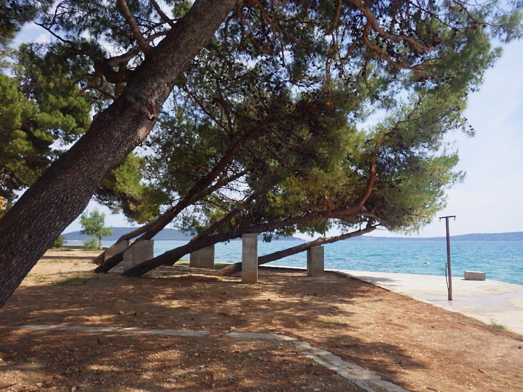 Отель, гостиница Strozanac, Хорватия, 411 м² - фото 18