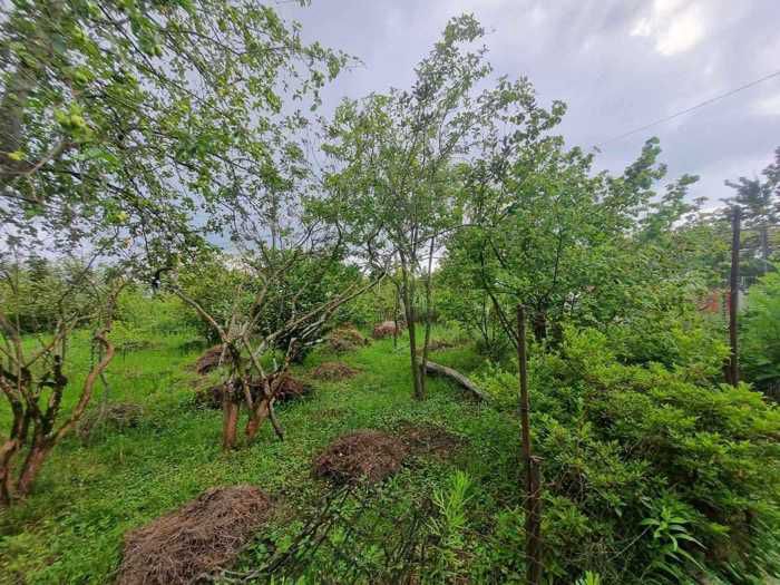 Дом в Поти, Грузия, 100 м² - фото 2