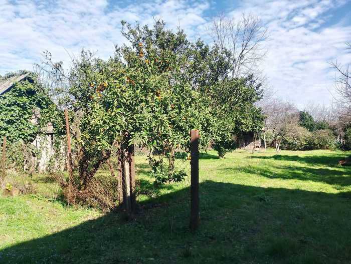 Дом в Поти, Грузия, 100 м² - фото 4