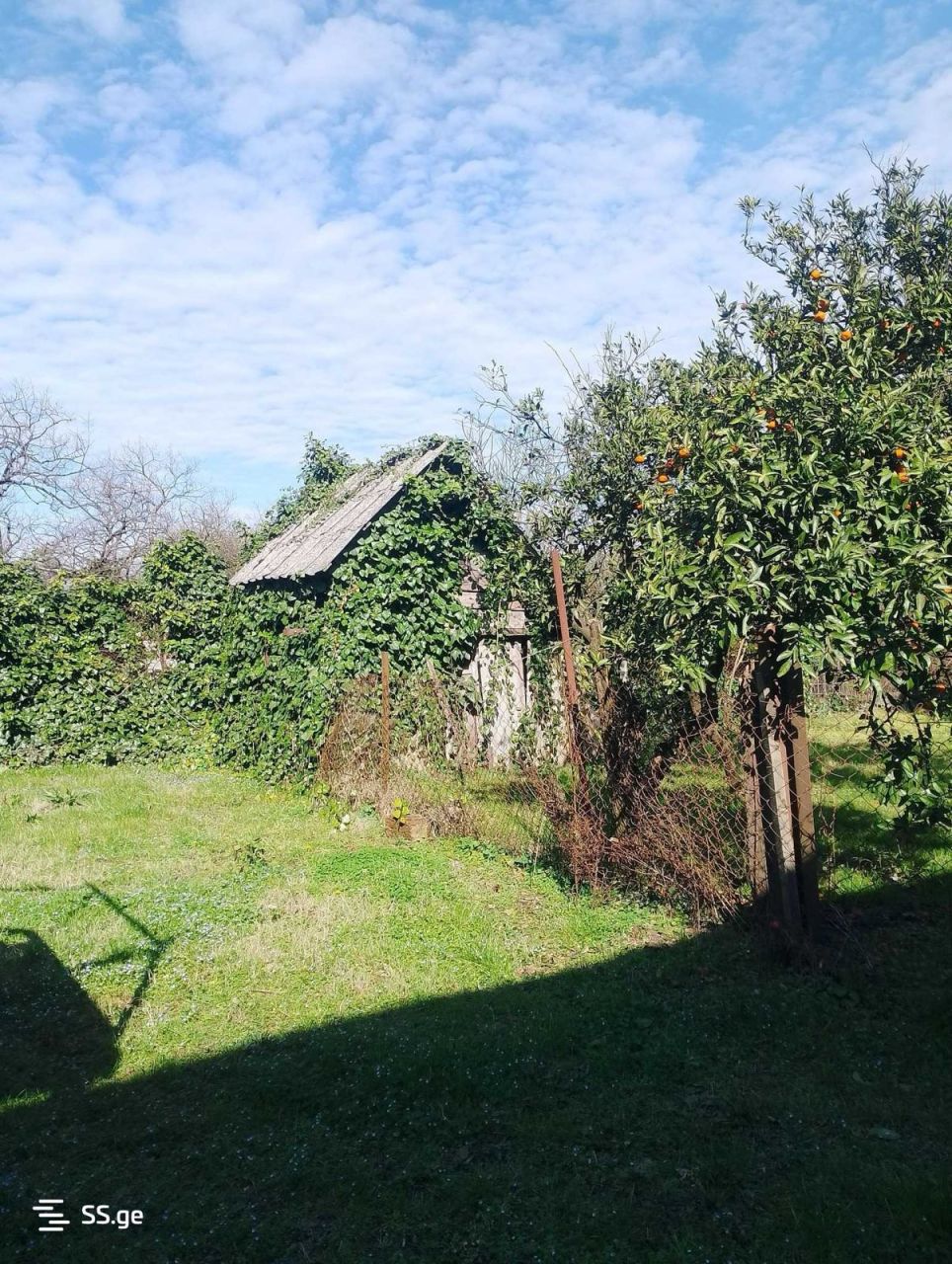 Дом в Поти, Грузия, 100 м² - фото 3