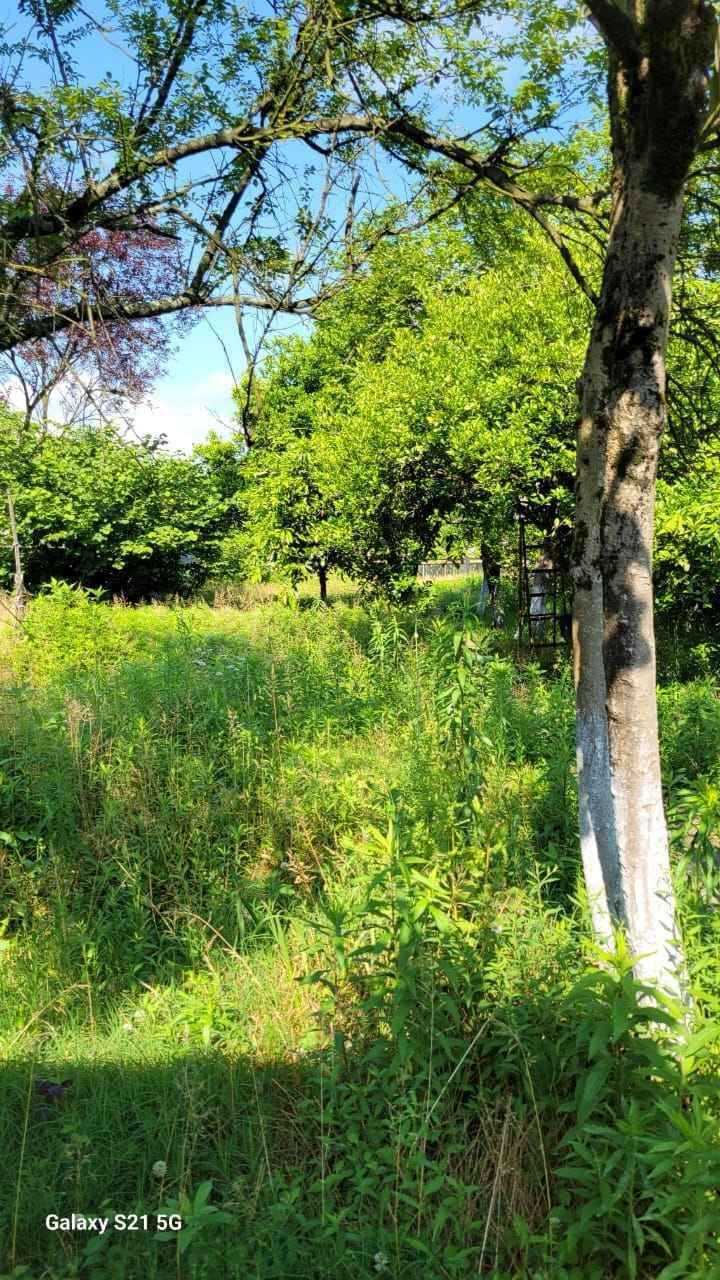 Дом в Поти, Грузия, 100 м² - фото 3