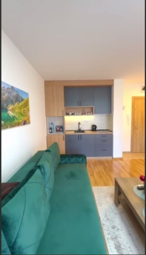 Квартира в Златиборе, Сербия, 37 м² - фото 5