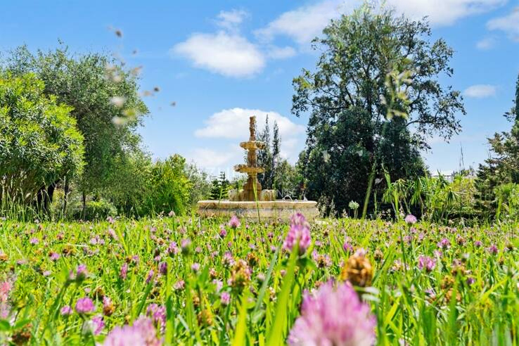 Квартира в Каннах, Франция, 30 м² - фото 3