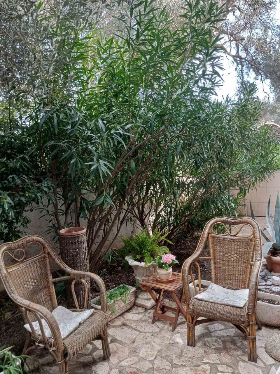 Апартаменты в Петроваце, Черногория, 67 м² - фото 16