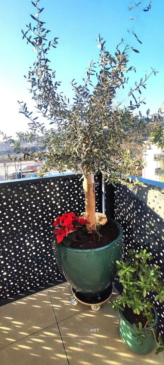 Квартира в Козине, Словения, 55 м² - фото 6