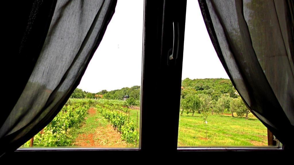 Вилла в Ровини, Хорватия, 114 м² - фото 2