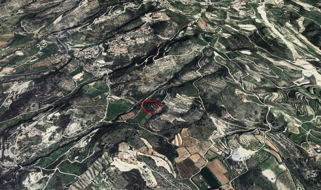 Земля в Пафосе, Кипр, 11 706 м² - фото 2