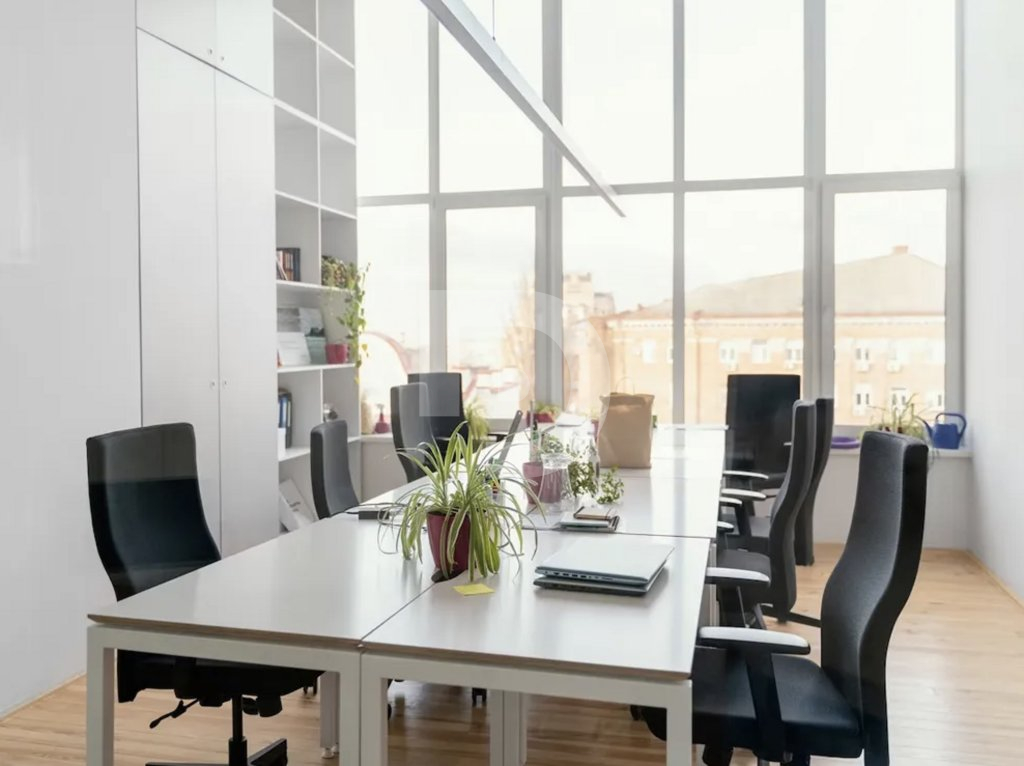 Коммерческая недвижимость в Эйшампле, Испания, 347 м² - фото 1