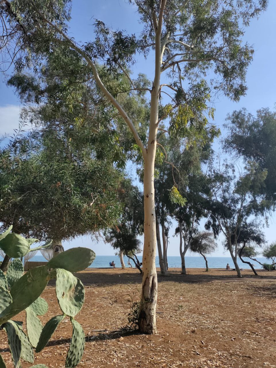 Квартира в Мерсине, Турция, 60 м² - фото 17