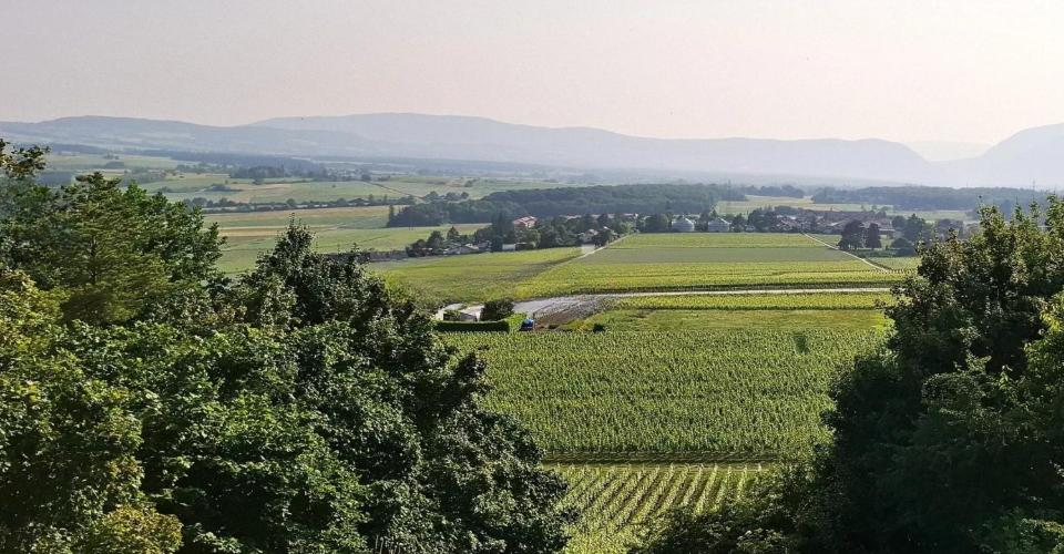 Квартира в Женеве, Швейцария, 437 м² - фото 1