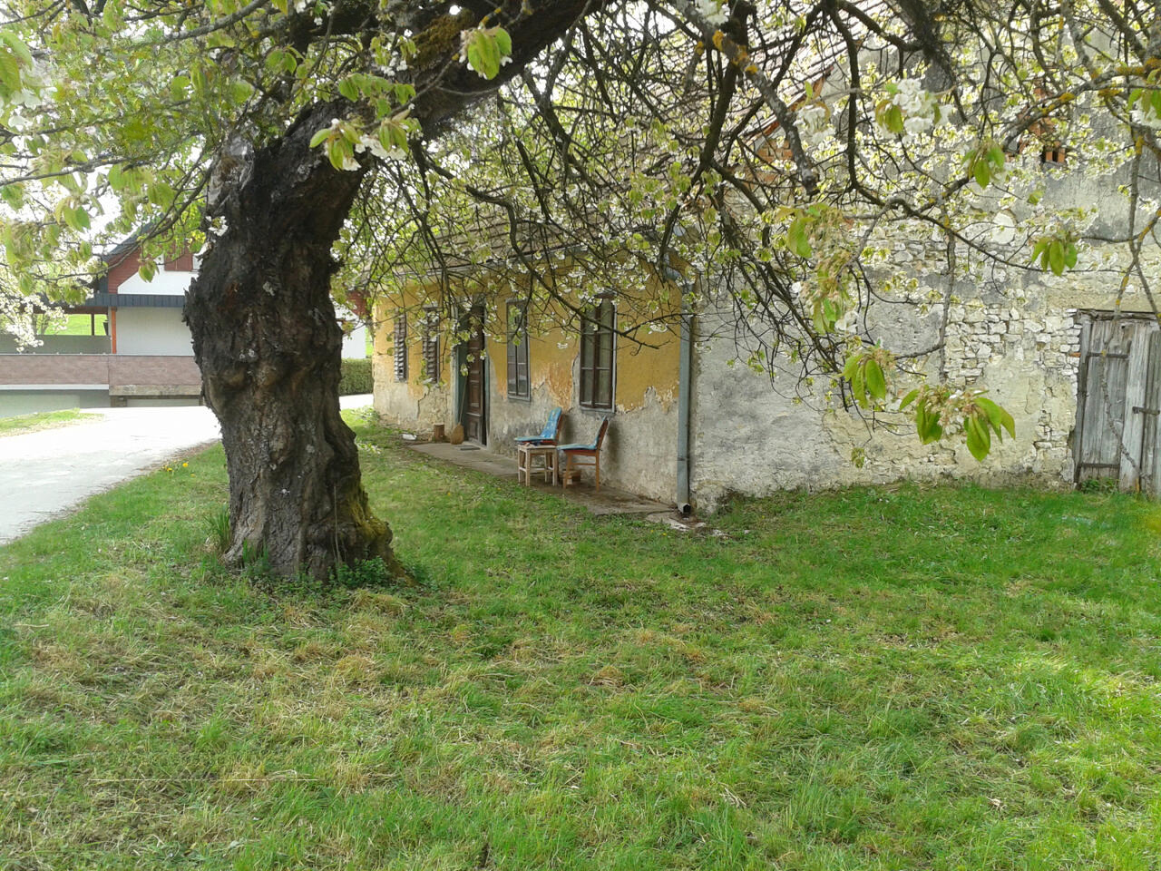 Ферма в Шмарье-при-Елшах, Словения, 20 200 м² - фото 1