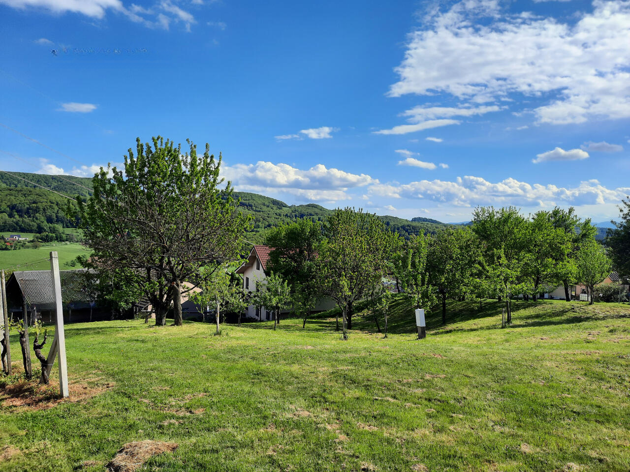 Ферма в Шмарье-при-Елшах, Словения, 20 000 м² - фото 3