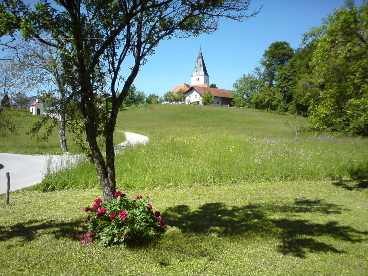 Ферма в Шмарье-при-Елшах, Словения, 20 200 м² - фото 4