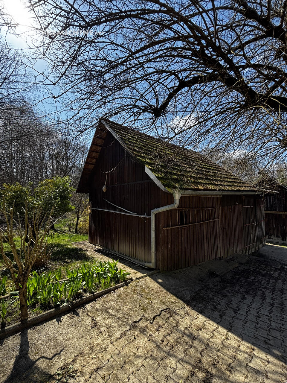 Ферма в Орможе, Словения, 41 847 м² - фото 5