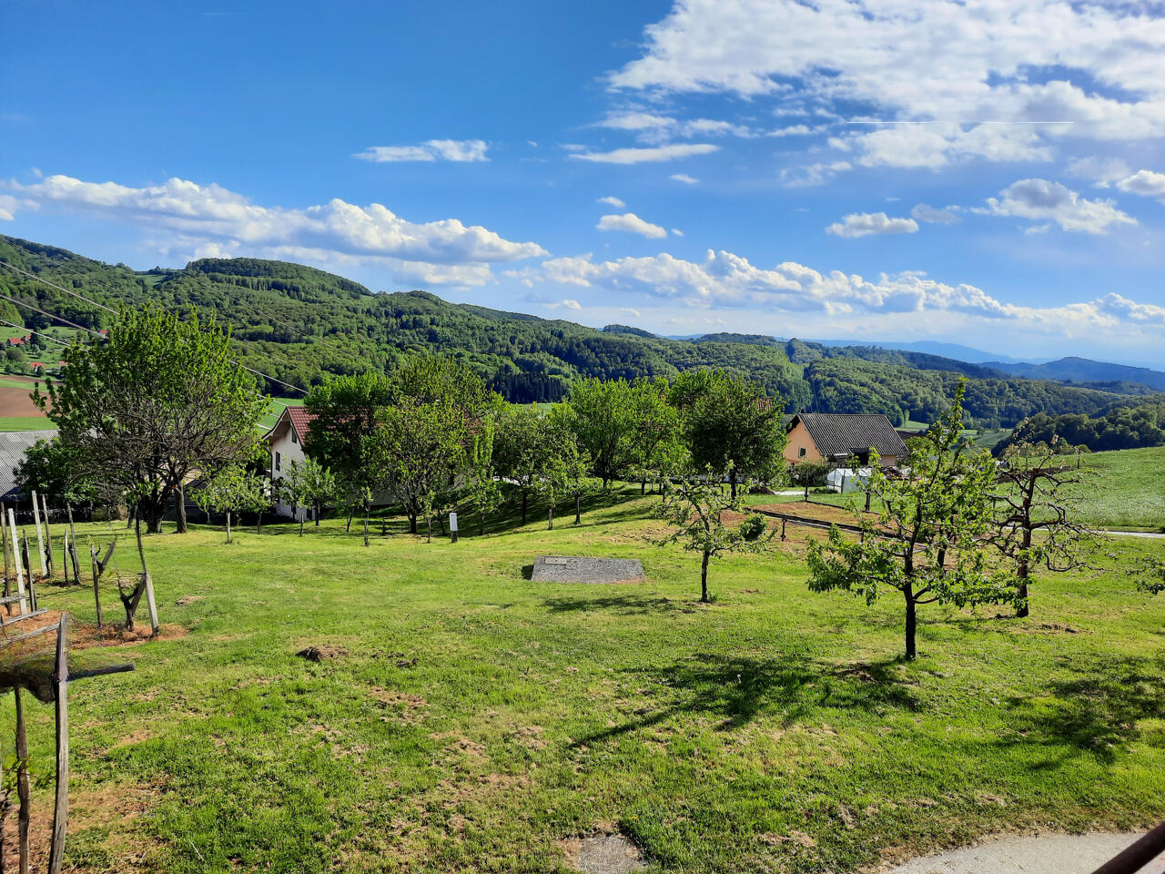 Ферма в Шмарье-при-Елшах, Словения, 20 000 м² - фото 5