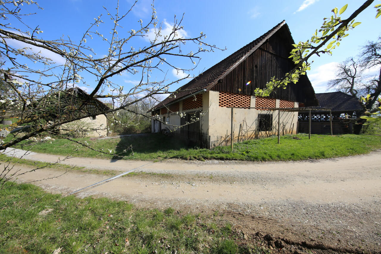 Ферма в Гросупле, Словения, 168 000 м² - фото 6