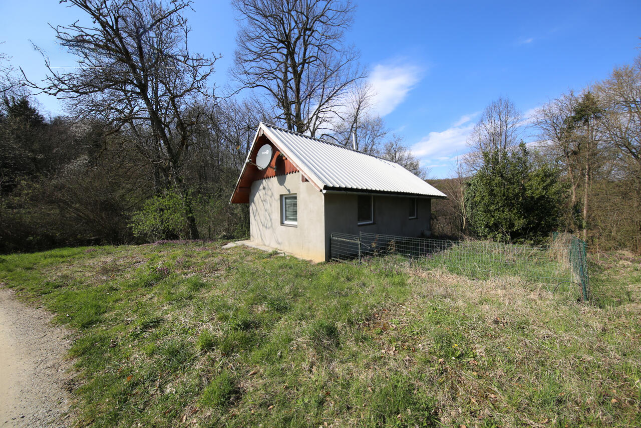 Ферма в Гросупле, Словения, 168 000 м² - фото 7