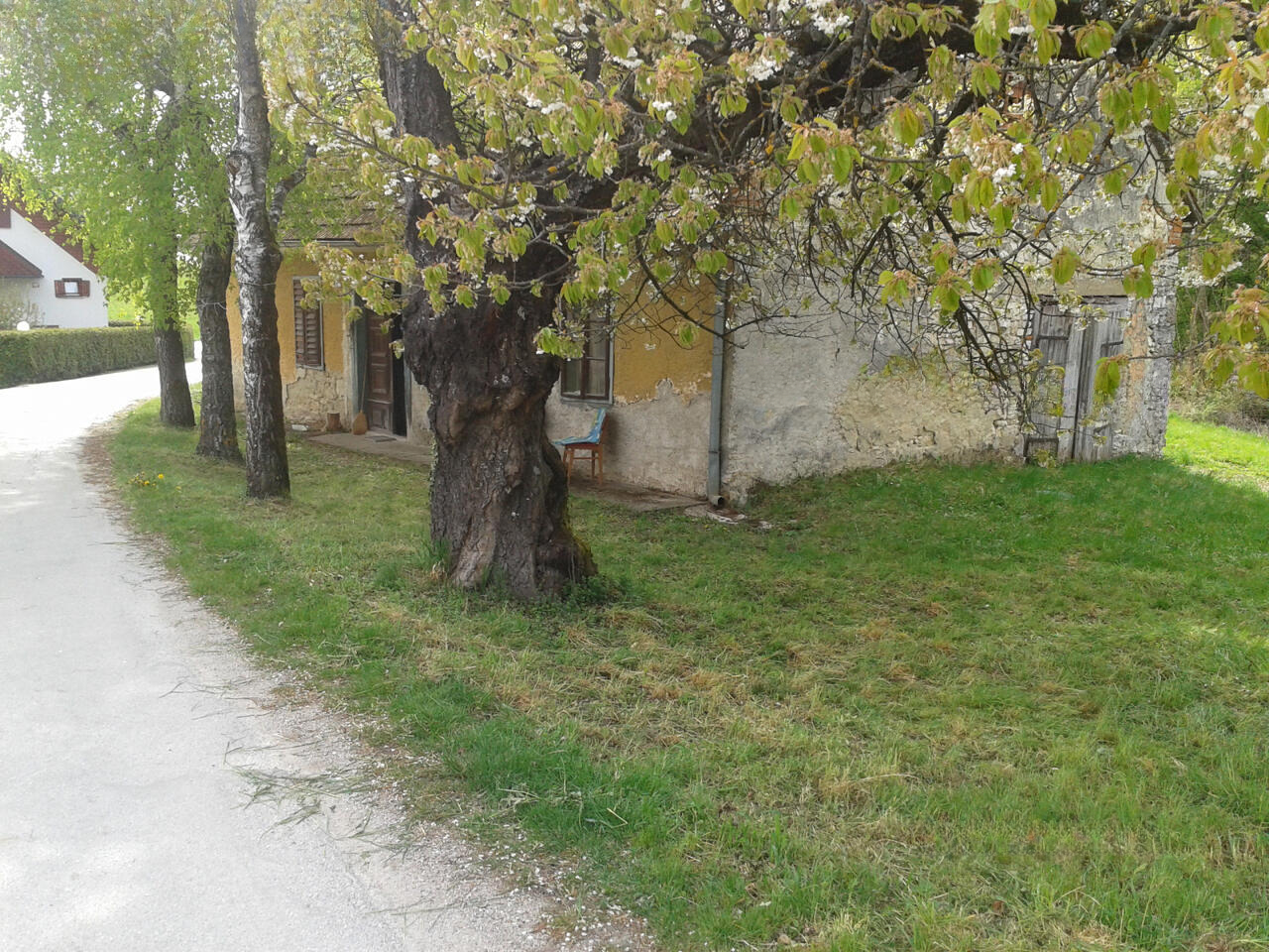 Ферма в Шмарье-при-Елшах, Словения, 20 200 м² - фото 9