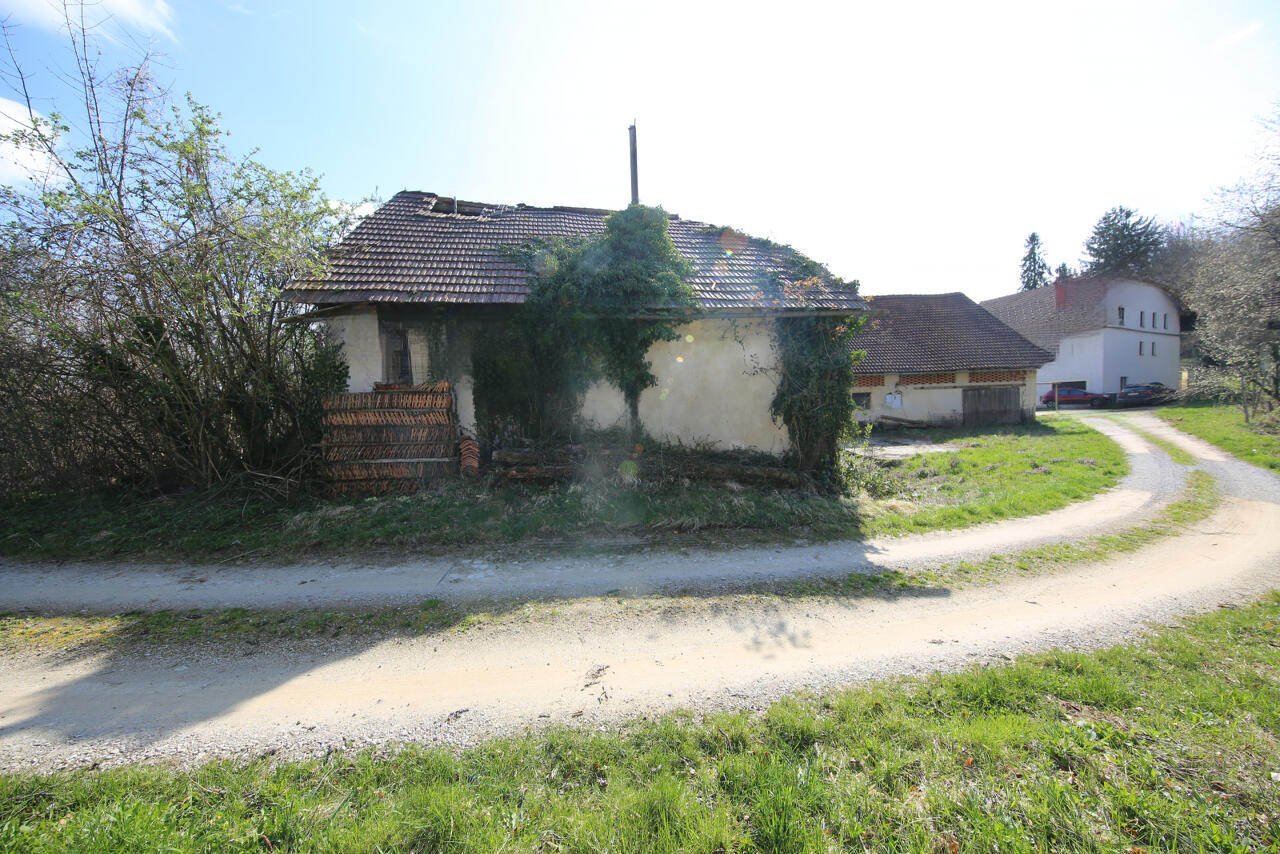 Ферма в Гросупле, Словения, 168 000 м² - фото 9