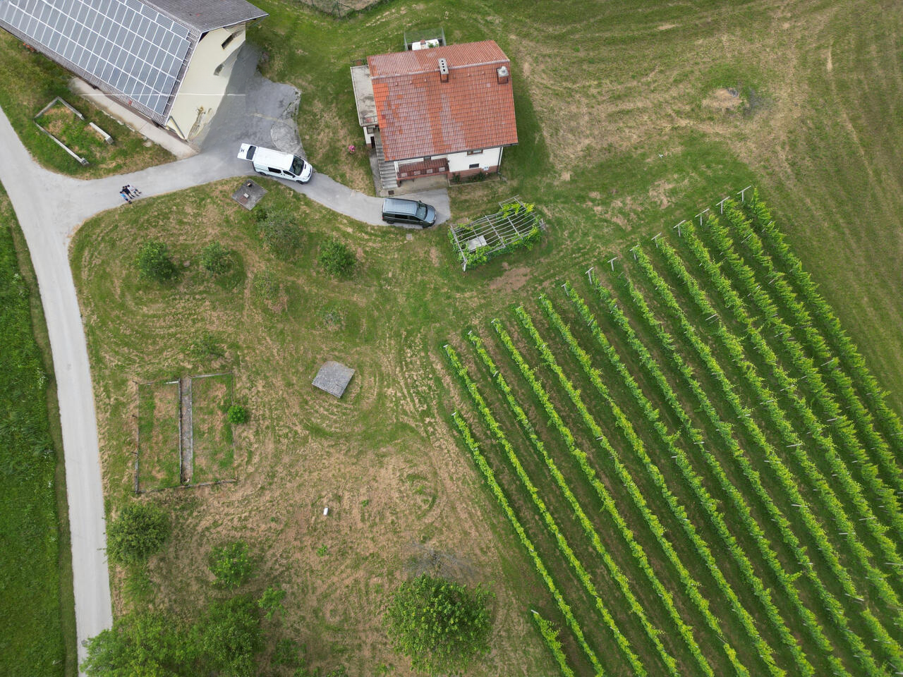 Ферма в Шмарье-при-Елшах, Словения, 20 000 м² - фото 10