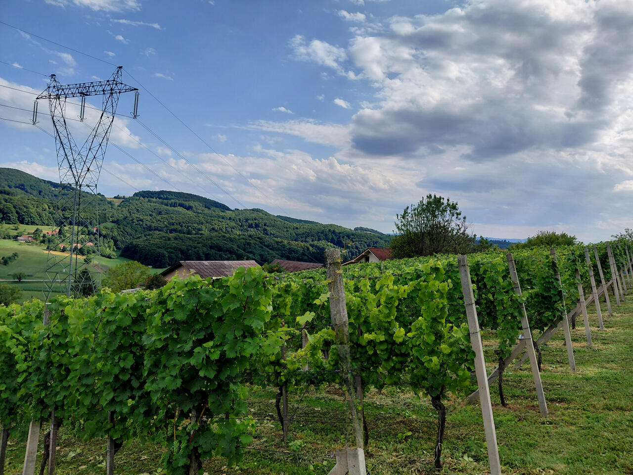 Ферма в Шмарье-при-Елшах, Словения, 20 000 м² - фото 13