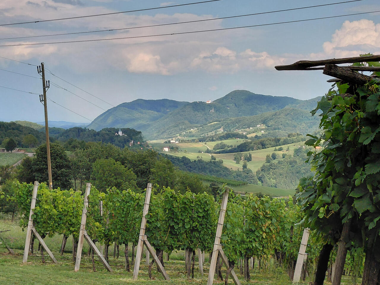 Ферма в Шмарье-при-Елшах, Словения, 20 000 м² - фото 14