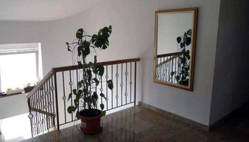 Дом в Ровини, Хорватия, 988 м² - фото 2