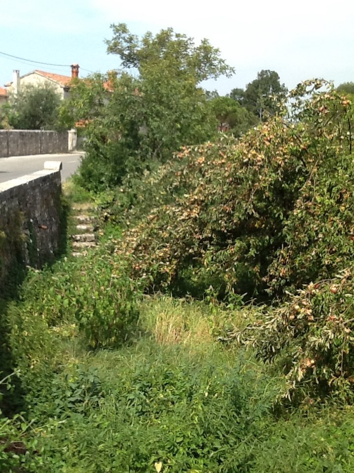 Дом Istria, Sveti petar u sumi, Хорватия, 200 м² - фото 3