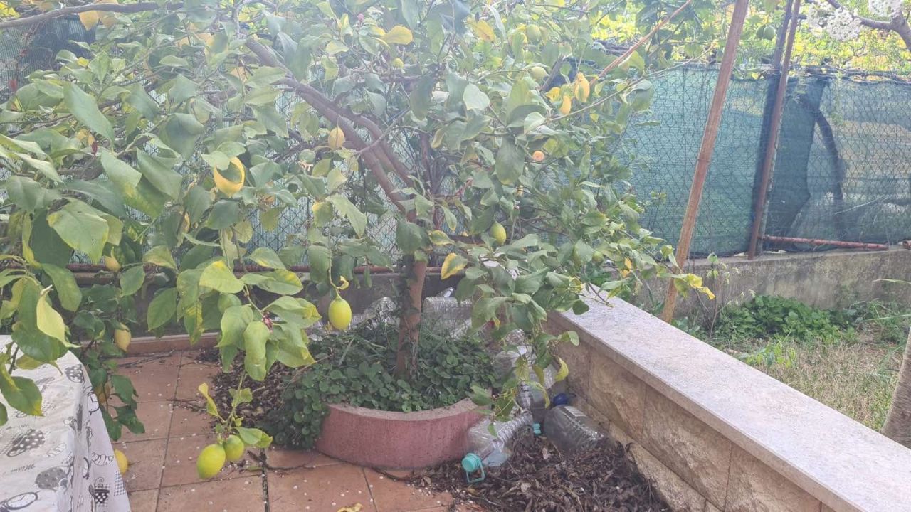 Квартира в Пуле, Хорватия, 67.5 м² - фото 9