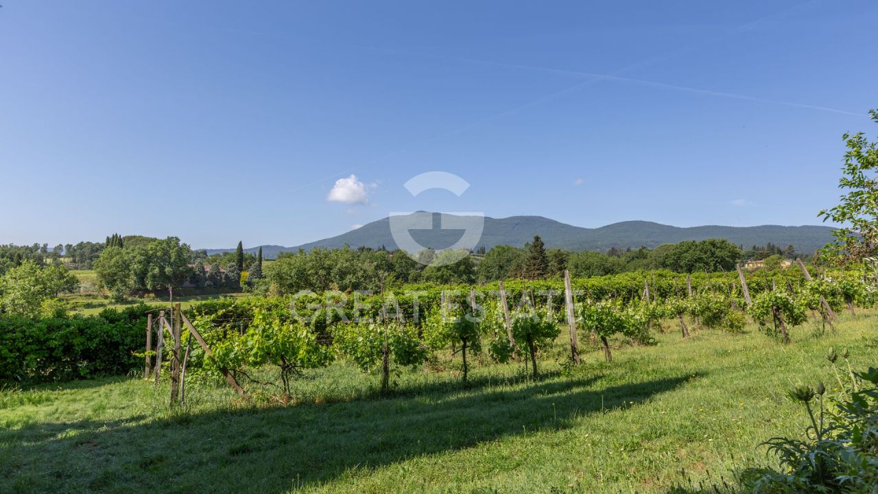 Дом в Четоне, Италия, 755.5 м² - фото 18