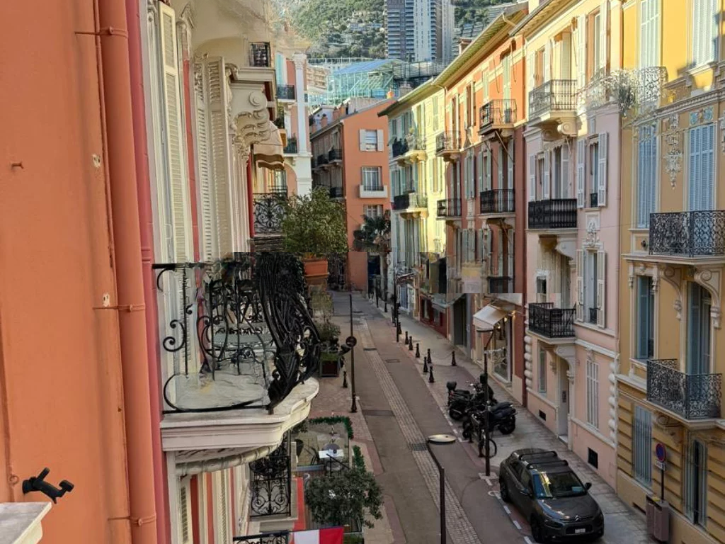 Квартира в Ла-Кондамине, Монако, 114 м² - фото 3